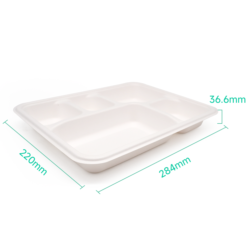 5-Comp 8.66x11.18xH1.44" 37g Bagasse Biodegradable Disposable Food Trays for Catering