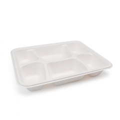 6-Comp 8.66x11.18xH1.77" 44.5g Bagasse Biodegradable Eco Takeout Meal Packaging Trays with Lid