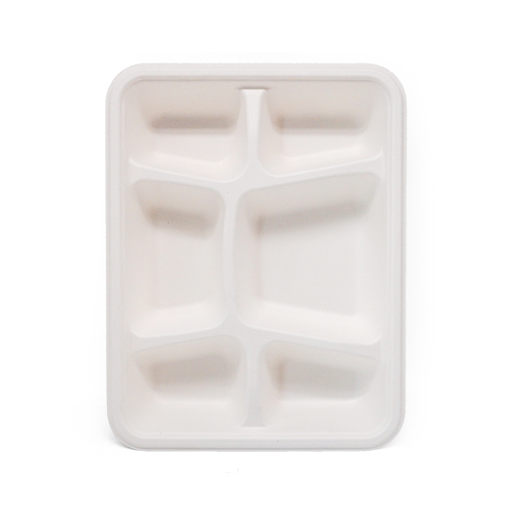 6-Comp 8.66x11.18xH1.77" 44.5g Bagasse Biodegradable Eco Takeout Meal Packaging Trays with Lid