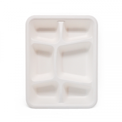 6-Comp 8.66x11.18xH1.77" 44.5g Bagasse Biodegradable Eco Takeout Meal Packaging Trays with Lid