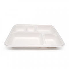 5-Comp 8.66x11.18xH1.44" 37g Bagasse Biodegradable Disposable Food Trays for Catering
