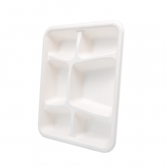 6-Comp 8.66x11.18xH1.77" 44.5g Bagasse Biodegradable Eco Takeout Meal Packaging Trays with Lid