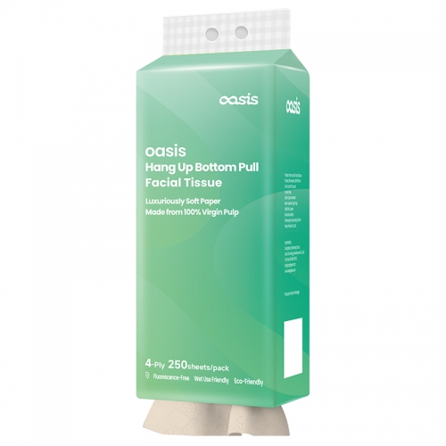 4 Ply 250 Sheet/Pack 1 Pack/Set Virgin Bamboo Bottom Pull Tissue