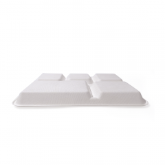 5-Comp 10.2x8.2xH0.9" 25g Bagasse Compostable Catering disposable Food Tray with Lid