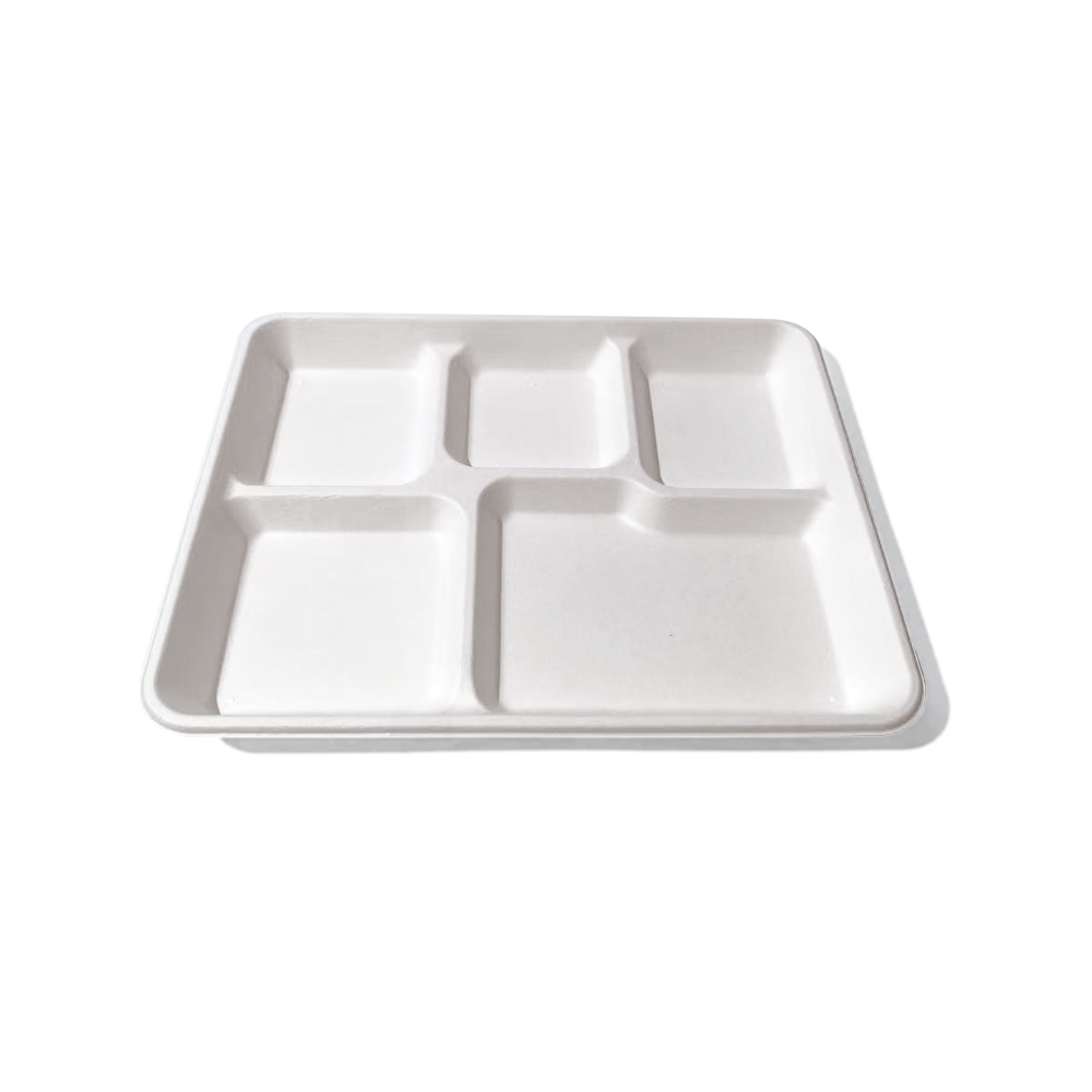 5-Comp 10.2x8.2xH0.9" 25g Bagasse Compostable Catering disposable Food Tray with Lid