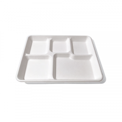 5-Comp 10.2x8.2xH0.9" 25g Bagasse Compostable Catering disposable Food Tray with Lid