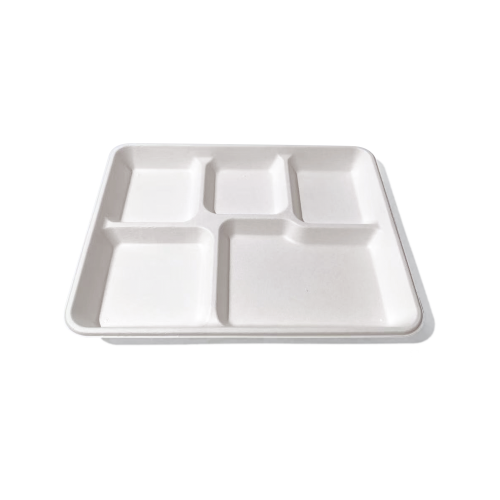5-Comp 10.2x8.2xH0.9" 25g Bagasse Compostable Catering disposable Food Tray with Lid