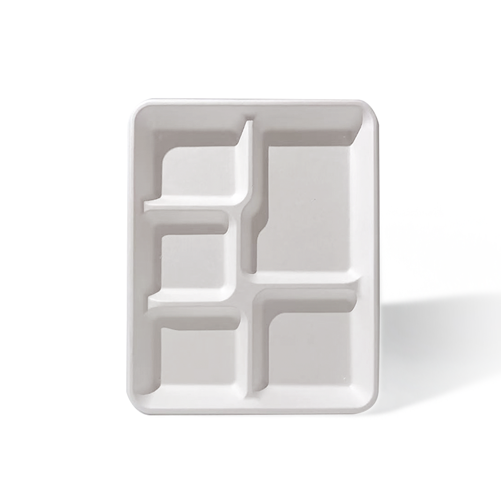 5-Comp 10.2x8.2xH0.9" 25g Bagasse Compostable Catering disposable Food Tray with Lid