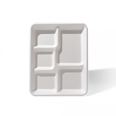 5-Comp 10.2x8.2xH0.9" 25g Bagasse Compostable Catering disposable Food Tray with Lid