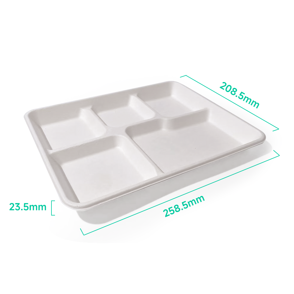 5-Comp 10.2x8.2xH0.9" 25g Bagasse Compostable Catering disposable Food Tray with Lid