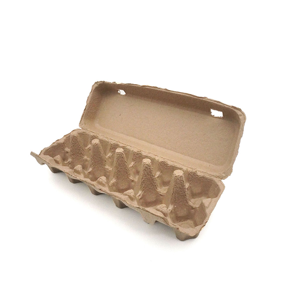 Molded Pulp Egg Cartons