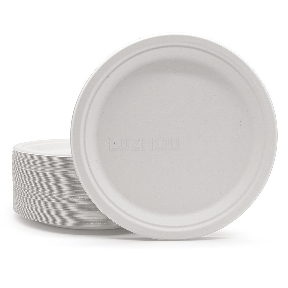 Biodegradable Bagasse Plates
