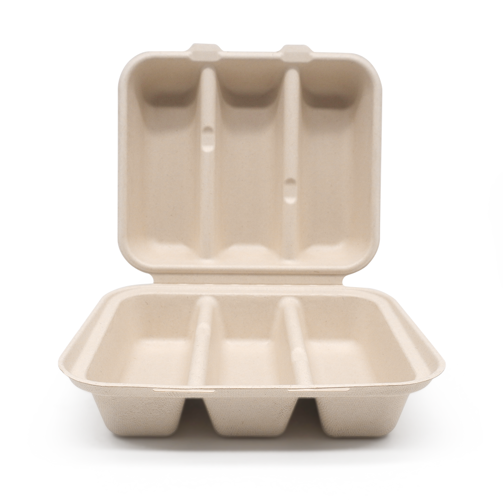 Bagasse Taco Boxes