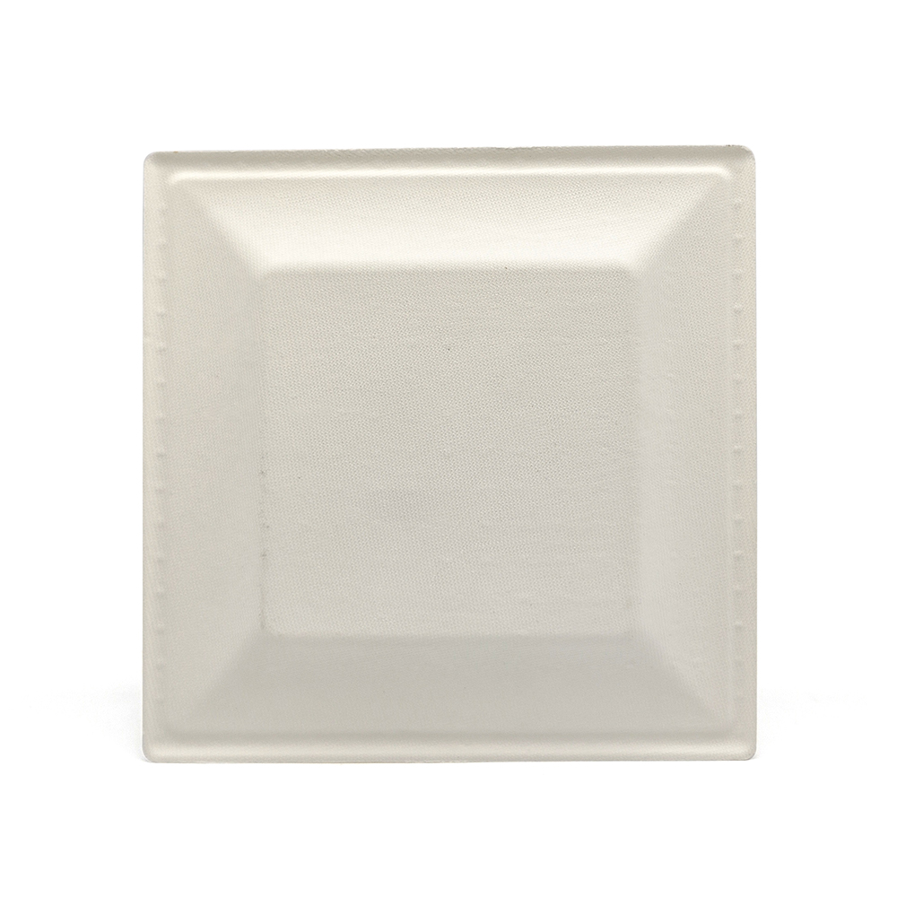 10" 28g Cane Bagasse Compostable Flourine Free Paper Plate