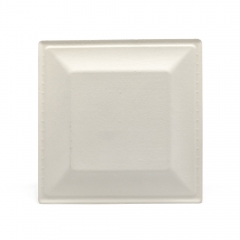 10" 28g Cane Bagasse Compostable Flourine Free Paper Plate