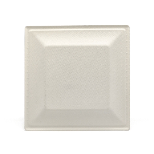 10" 28g Cane Bagasse Compostable Flourine Free Paper Plate