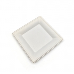 6" 12g Bagasse Compostable Square Dish for Wedding