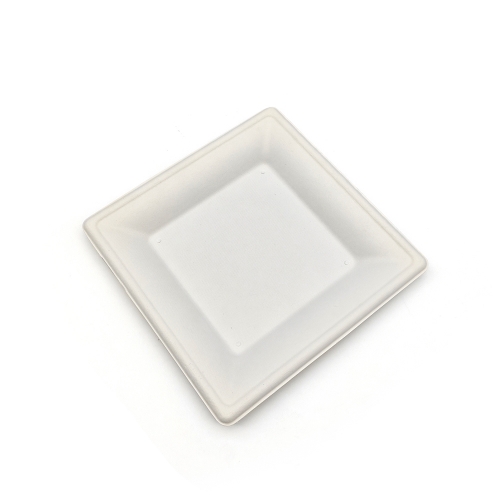 6" 12g Bagasse Compostable Square Dish for Wedding