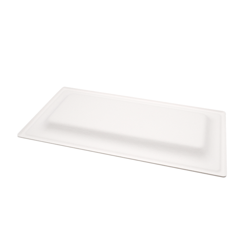 10.24x5.12xH0.79" 17g Bagasse Compostable Rectangle Disposable Catering Trays