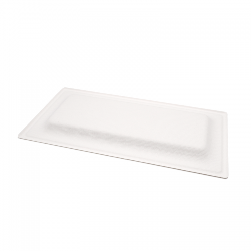 10.24x5.12xH0.79" 17g Bagasse Compostable Rectangle Disposable Catering Trays
