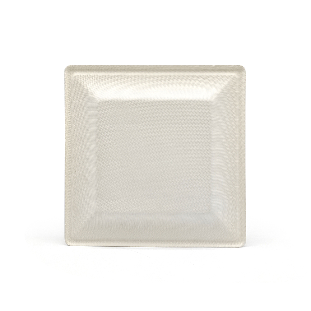 8" 18g Sugarcane Fiber Pulp Compostable Dish