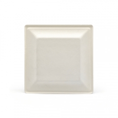 8" 18g Sugarcane Fiber Pulp Compostable Dish