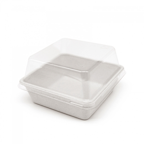 5.43x5.08xH1.38" 12g Bagasse Compostable Tray for Dessert