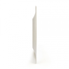 10" 28g Cane Bagasse Compostable Flourine Free Paper Plate