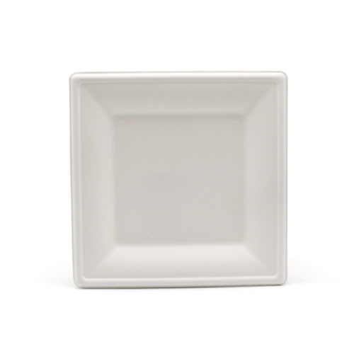 8" 18g Sugarcane Fiber Pulp Compostable Dish