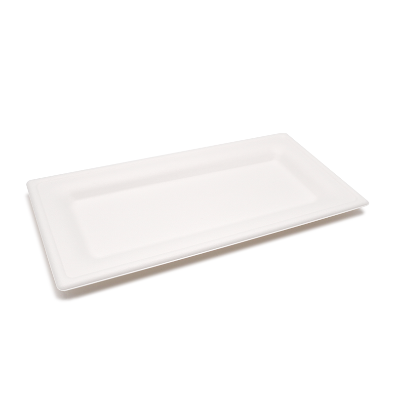 10.24x5.12xH0.79" 17g Bagasse Compostable Rectangle Disposable Catering Trays
