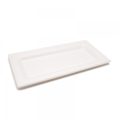 10.24x5.12xH0.79" 17g Bagasse Compostable Rectangle Disposable Catering Trays