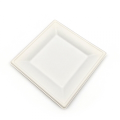 8" 18g Sugarcane Fiber Pulp Compostable Dish