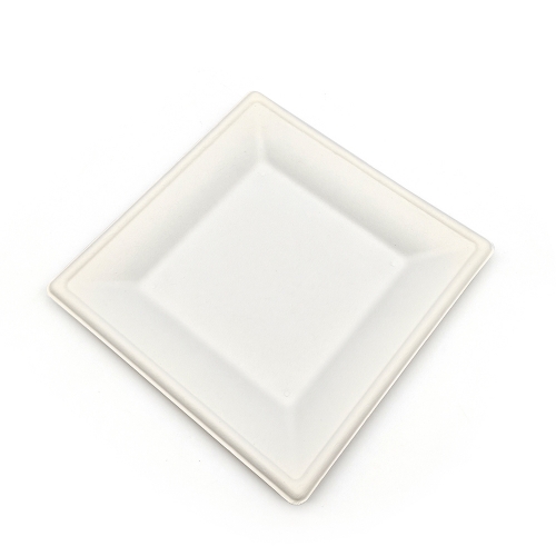 8" 18g Sugarcane Fiber Pulp Compostable Dish