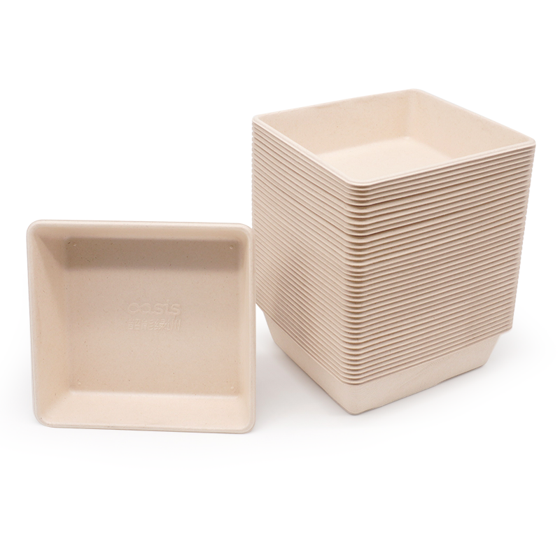 5.43x5.08xH1.38" 12g Bagasse Compostable Tray for Dessert