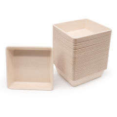 5.43x5.08xH1.38" 12g Bagasse Compostable Tray for Dessert
