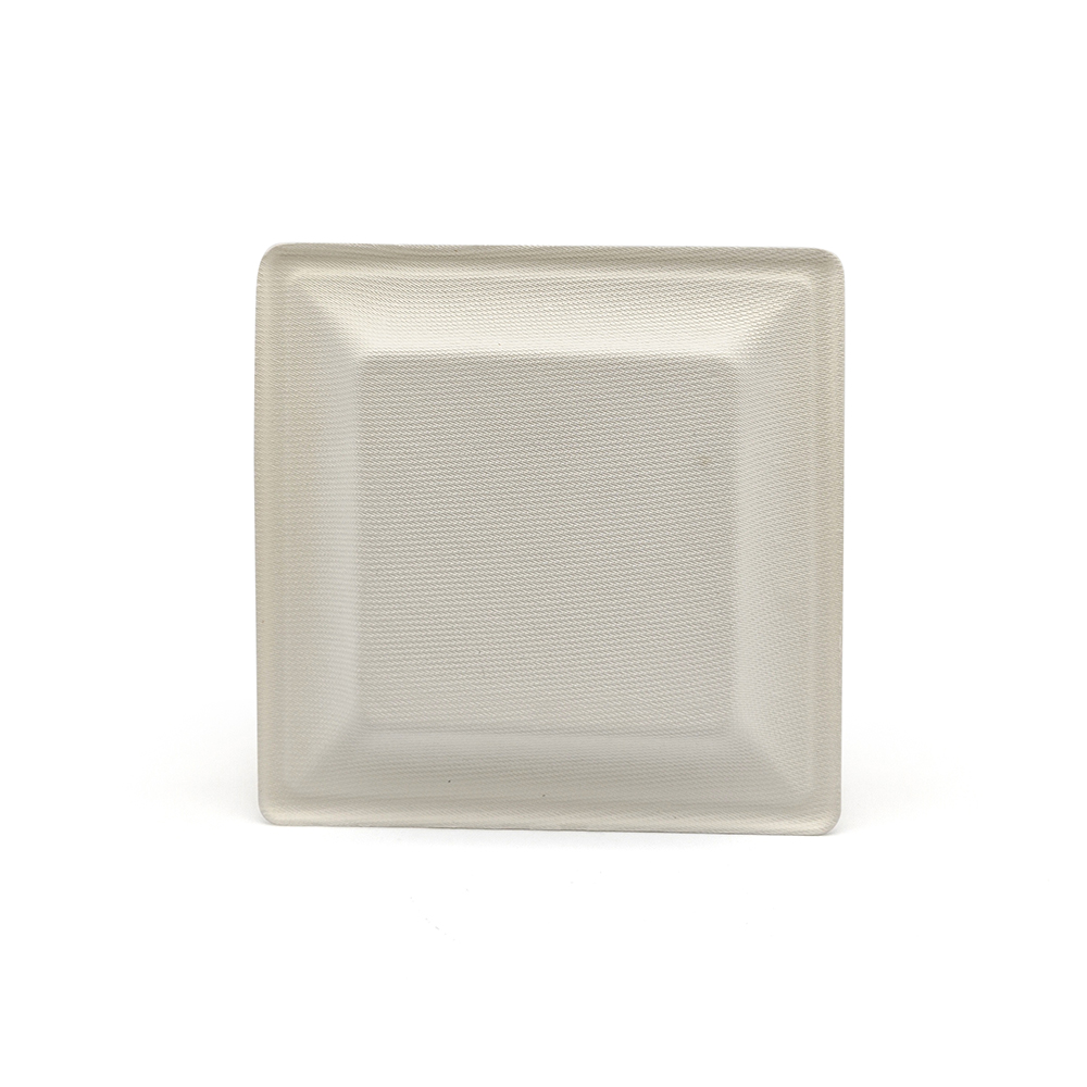 6" 12g Bagasse Compostable Square Dish for Wedding