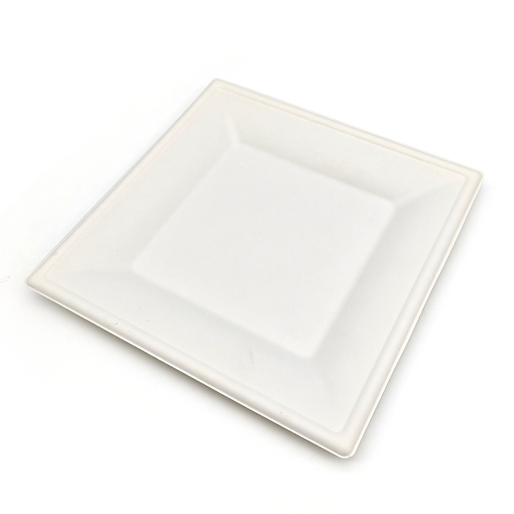 10" 28g Cane Bagasse Compostable Flourine Free Paper Plate