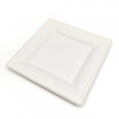 10" 28g Cane Bagasse Compostable Flourine Free Paper Plate