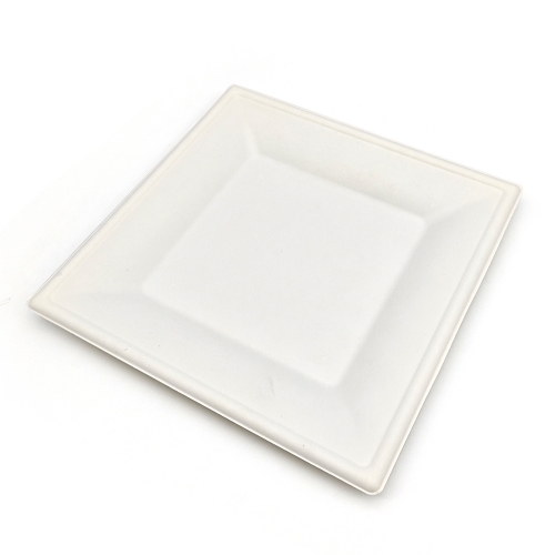 10" 28g Cane Bagasse Compostable Flourine Free Paper Plate