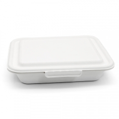 4-Comp 7.44x8.58xH1.97" (Fold) 48g Bagasse Compostable Containers with Lid for Catering