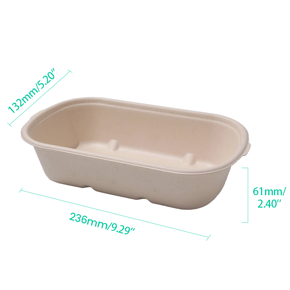 1000ml 34oz 9.29x5.20xH2.40" 21g 1-Comp Bagasse Compostable Togo Comtainer for Food
