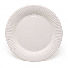 10" Cardboard Paper Plate