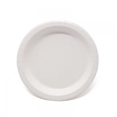 8.8" Cardboard Paper Plate