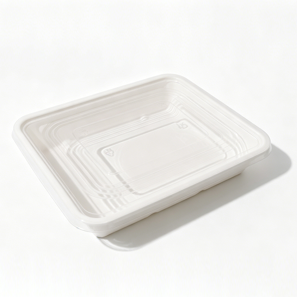 Bagasse Meal Tray