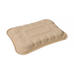 770ml 8.8×6.2×H0.9" 22±2g Bagasse Biodegradable Fresh Meat Tray