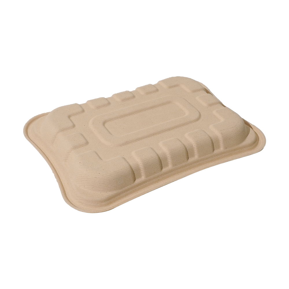 630ml 8.3×5.9×H0.8" 20±2g Bagasse Biodegradable Fresh Meat Tray