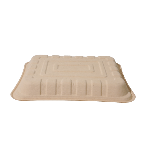 1900ml 10.6×8.7×H1.3" 48±3g Bagasse Biodegradable Fresh Meat Tray