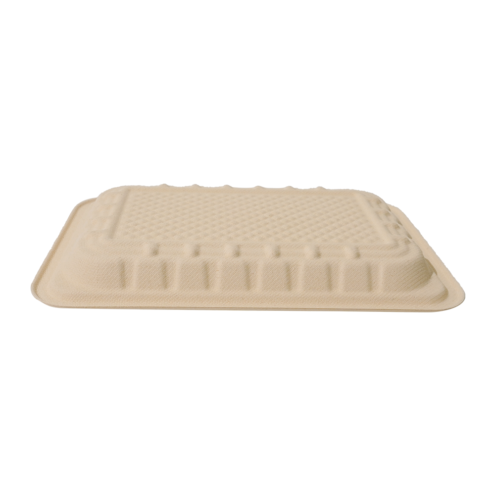 1178ml 10.2x7.2×H1" 35±3g Bagasse Biodegradable Fresh Meat Tray