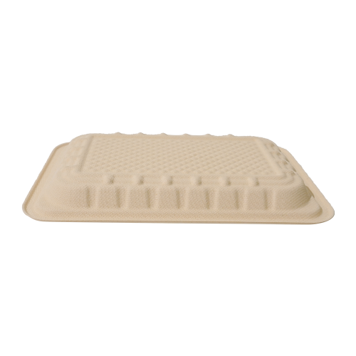 1178ml 10.2x7.2×H1" 35±3g Bagasse Biodegradable Fresh Meat Tray
