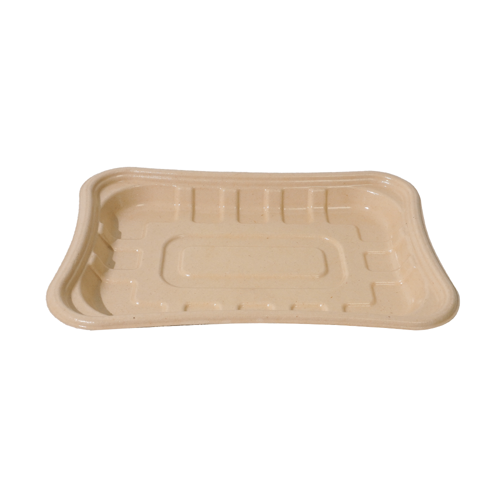 630ml 8.3×5.9×H0.8" 20±2g Bagasse Biodegradable Fresh Meat Tray